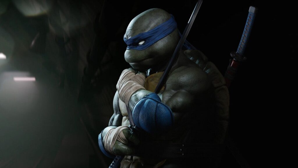 Turtles Main 1739969524469.jpg